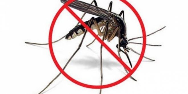 Obaveštenje o suzbijanju larvi komaraca na teritopriji opštine Osečina